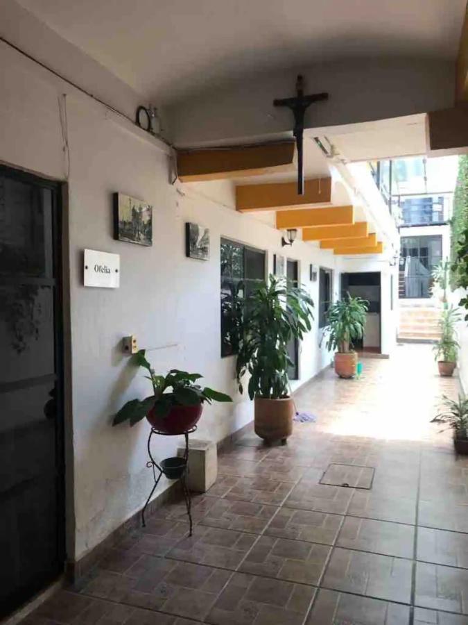 Cute Apart Excellently Located Daire Oaxaca Dış mekan fotoğraf
